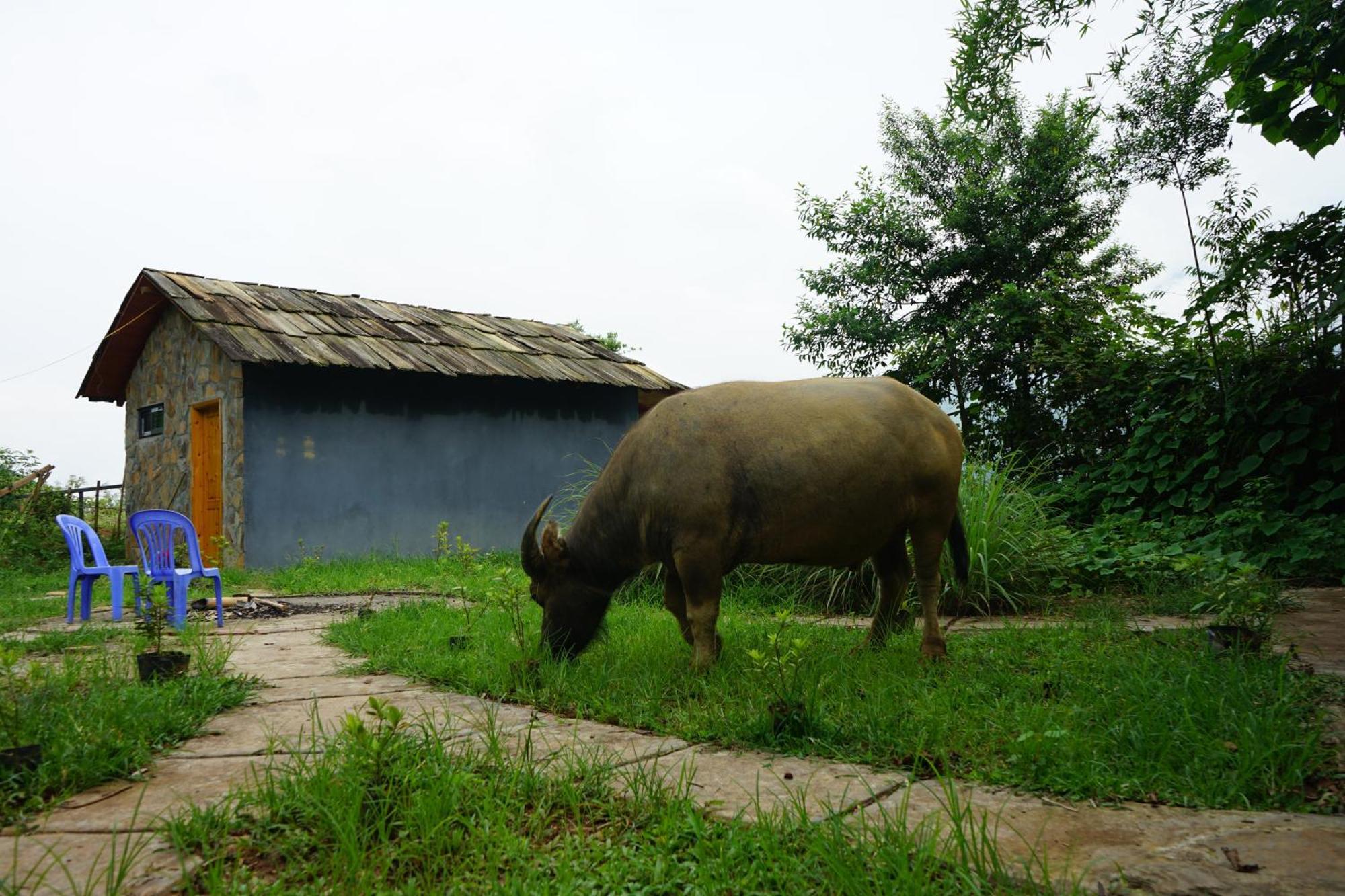 Sapa Hillcrest Homestay Lao Cai Exterior photo